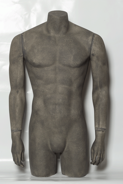 Torse mannequin homme premium